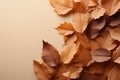 Minimalism top view of autumn leaves pattern on soft brown