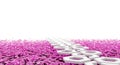 Innovative abstract 3D render Hexagonal pathway cuts through magenta sakura, signifying future succe Royalty Free Stock Photo