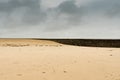 Minimalist abstract landscape of stone harbor wall and beach under an overcast sky