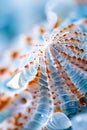 abstract piece showcasing the spiral patterns found in seashells