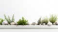 a minimalist arrangement of plants and rocks on a white shelf, reflecting a sense of balance, harmony, and tranquility.