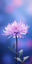 Minimalist Aster Mobile Wallpaper In Purple And Blue