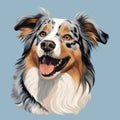 Minimalist Australian Shepherd Dog Portrait Vector Illustration