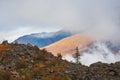 Minimalist autumn landscape with diagonal of sunlit orange mountainside in cloudy sky. Awesome sunny scenery with low clouds on