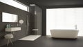 Minimalist bathroom with bathtub and shower, parquet floor and m Royalty Free Stock Photo