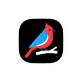 Minimalist bird watching app icon in modern squircle style with simple sky blue and red tones Royalty Free Stock Photo