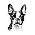 Minimalist Black Line Sketch Art Of A Boston Terrier