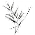 Minimalist Black And White Bamboo Leaf Vector Drawing