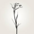 Minimalist Black And White Calla Lily Drawing - Elegant And Ethereal
