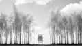 Minimalist Black And White Image Of Poma Lift With Birch Trees