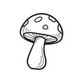 Minimalist black and white mushroom line art with transparent background Royalty Free Stock Photo