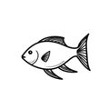 Bold And Graceful Fish Illustration On White Background