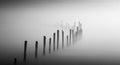 Minimalist Black and White Pier in Misty Waters with Reflections Royalty Free Stock Photo