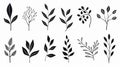 Minimalist Black And White Plant Doodles: Symmetrical Vector Art Set