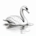 Minimalist Black And White Swan Drawing Royalty Free Stock Photo