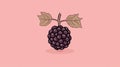 Minimalist Blackberry Illustration On Pink Background