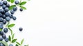 Minimalist Blueberry On White Chalkboard: Innovative Page Design