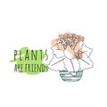 Minimalist boho illustration of quote Plants are friends with black line art potted house plant kalanchoe and abstract