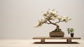 Minimalist Bonsai Tree With White Branches On Wooden Display