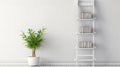 Minimalist Bookshelf and Plant white bookshelf adorned with books and a vibrant potted plant, set against a pristine white wall