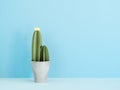 Minimalist cactus background for summer mood design. Royalty Free Stock Photo