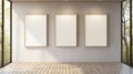 Minimalist Canvases: Three Empty Frames In A Contemporary Room Royalty Free Stock Photo