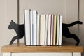 Minimalist cat bookends with books on table indoors