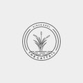 Minimalist cattails reed logo vector illustration design Royalty Free Stock Photo