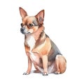 Minimalist Chihuahua Watercolor Painting for Pet Lovers.