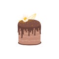 Minimalist chocolate cake with fezalis. Isolated flat vector illustration in simple cartoon style on a white background