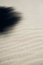 Minimalist close up with diminishing focus of ripples sand dune with dramatic shadow