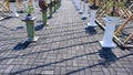 Minimalist Composition Of Bonsai Trees Lined Up On The Base Along The Brick Path