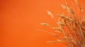 Minimalist Composition: Decorative Dried Grasses On Professional Orange Background
