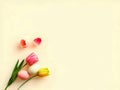 Tulip Petals and Easter Eggs on Minimalist Background - AI Generated Royalty Free Stock Photo
