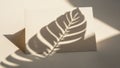 Soft leaf shadow cast on a textured beige paper card with geometric light patterns Royalty Free Stock Photo