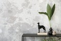 Minimalist composition of indiustral and loft living room interior with copy space, black dog, books, vase with green leaves, gray Royalty Free Stock Photo