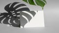 Minimalist composition with monstera leaf shadow and blank white card on grey surface Royalty Free Stock Photo