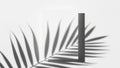 Minimalist composition of a palm leaf shadow on a white surface with a geometric shape Royalty Free Stock Photo