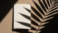 Minimalist composition with a white card and dramatic palm leaf shadow Royalty Free Stock Photo