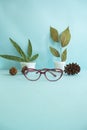 Minimalist Concept. Cat's Eye Glasses Dried Leaves Pine Flowers on a pastel light blue background