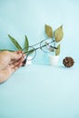 Minimalist Concept. Hand Holding Round Glasses Dried Leaves Pine Flowers on pastel light blue background Royalty Free Stock Photo