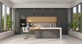 Minimalist concrete and wooden Kitchen with island