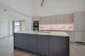 Minimalist contemporary grey and white kitchen