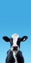 Minimalist Cow Portrait For Mobile Phone Lock Screen