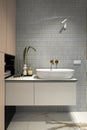 Minimalist and creative interior of bathroom with washbasin, cupboard, grey walls, leaf in vase and beautiful bathroom accessories