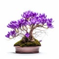 Minimalist Crocus Bonsai On White Background For Stunning Visuals Royalty Free Stock Photo