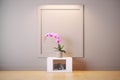 minimalist cube room with dim lighting and single orchid Royalty Free Stock Photo