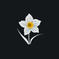 Minimalist Daffodil Logo Design On Black Background