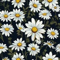 Minimalist daisy design for minimalist style