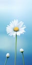 Minimalist Daisy Mobile Wallpaper - Distinctive And Tcl 8-series